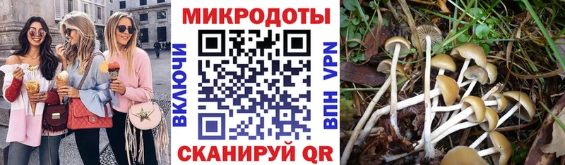 наркотики  Истра  Псилоцибиновые грибы ЛСД 